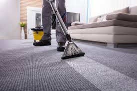 specialised carpet cleaning